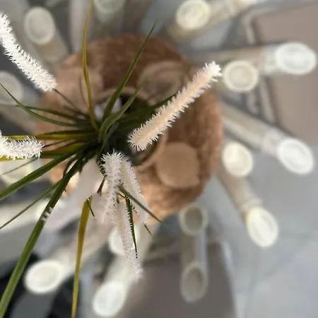 Tropical Lounge, Cristianos, Pool & Sea, Wifi Appartement Los Cristianos (Tenerife)